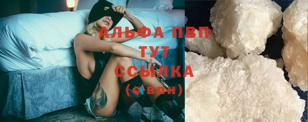индика Белоозёрский