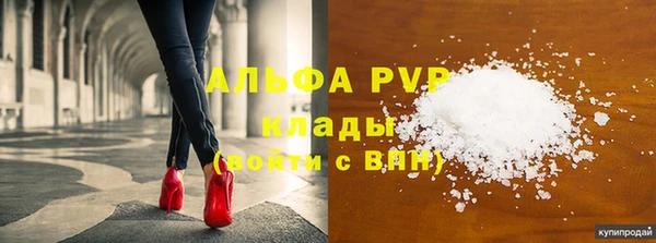 индика Белоозёрский