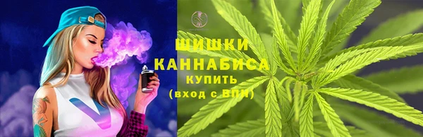 индика Белоозёрский