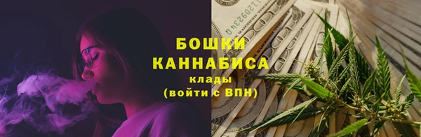 индика Белоозёрский