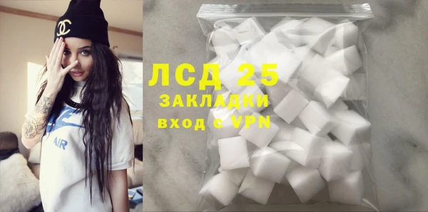 индика Белоозёрский