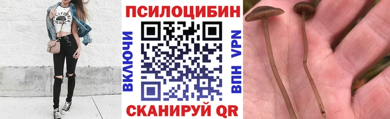 Галлюциногенные грибы Magic Shrooms  Красный Кут 